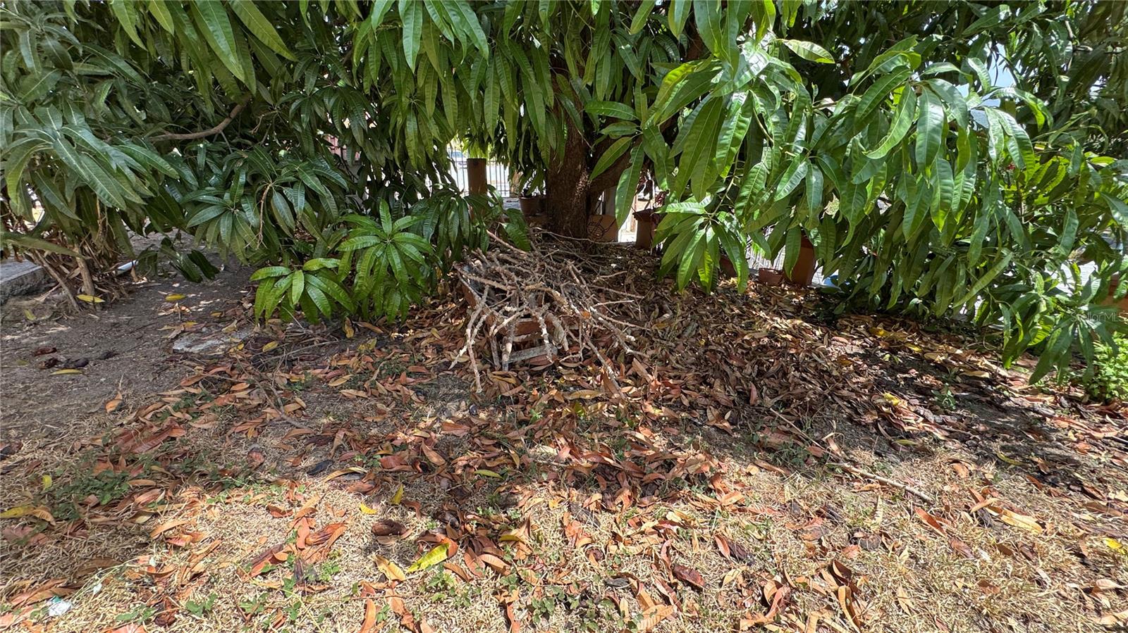 Pr 371 Urb Villa Real Property Photo 66