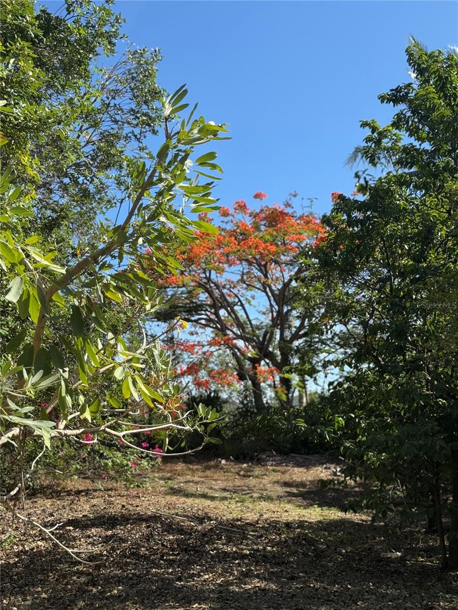 Pr 371 Urb Villa Real Property Photo 69