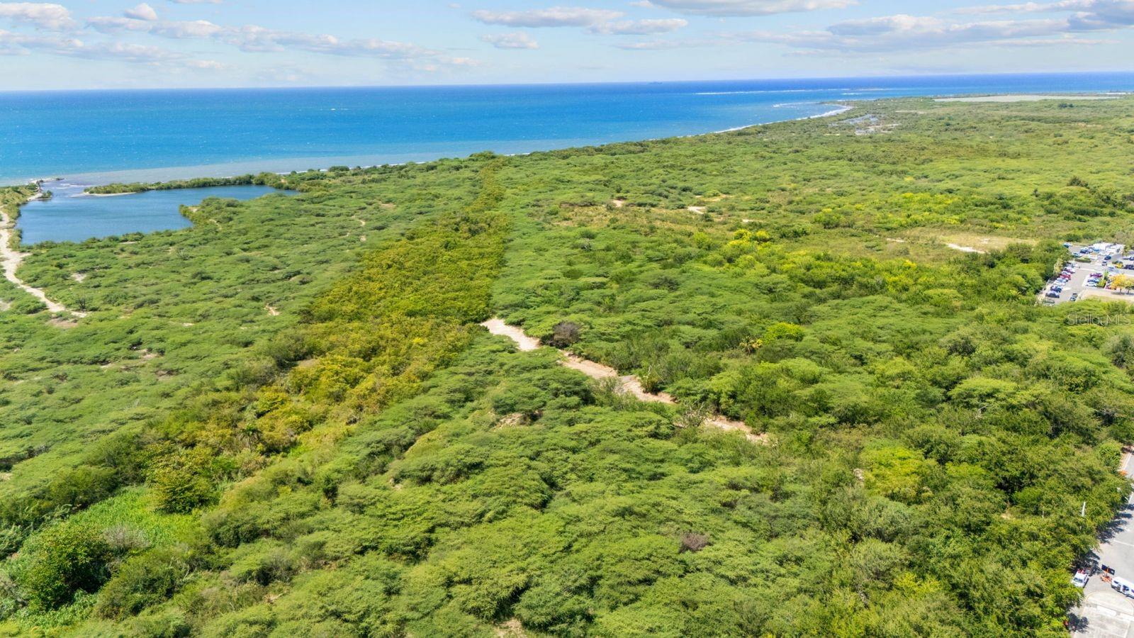 Lot C Road #2 Property Photo 18