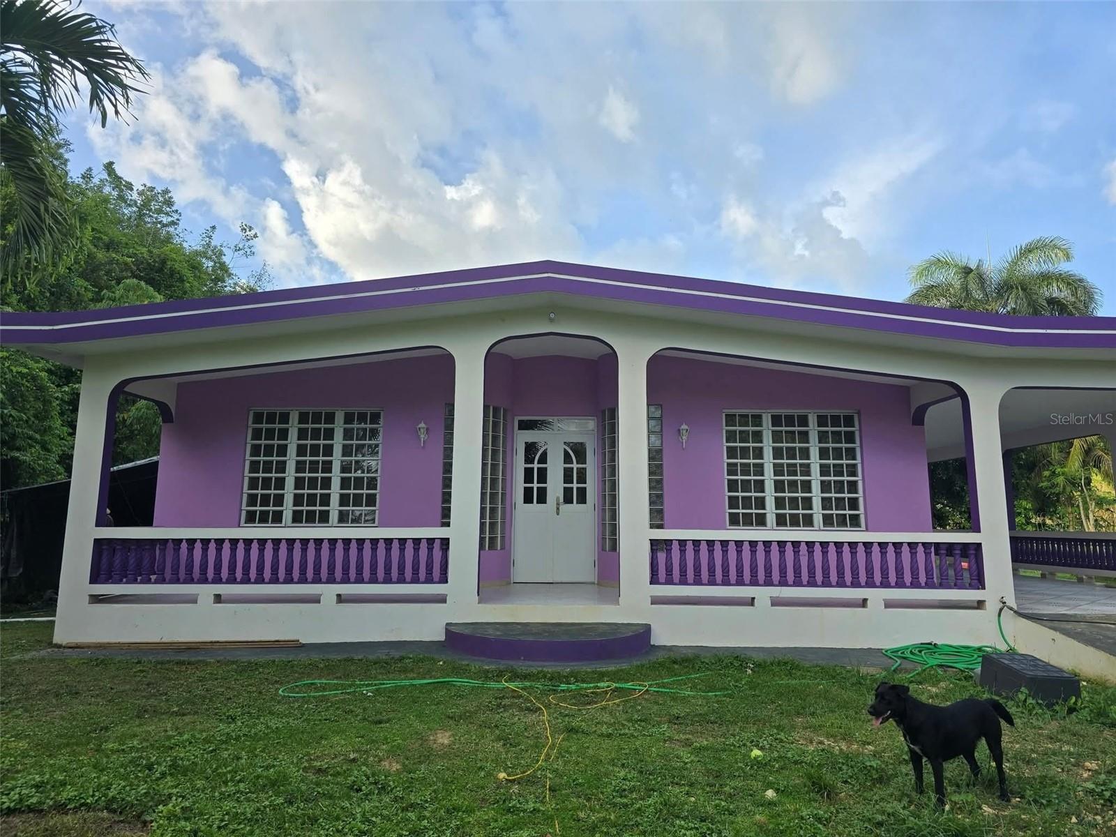 Carr 457 Bo Planas Sector La Jungla Property Photo 1