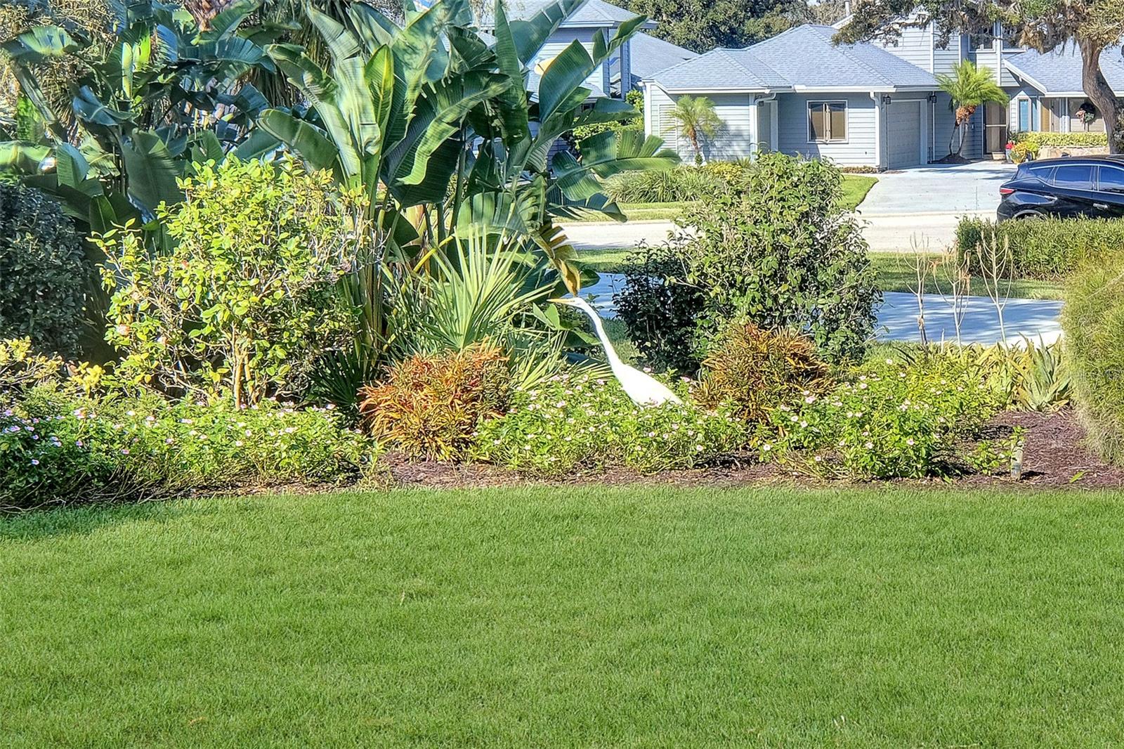 1105 Loch Laggan Court Property Photo 45