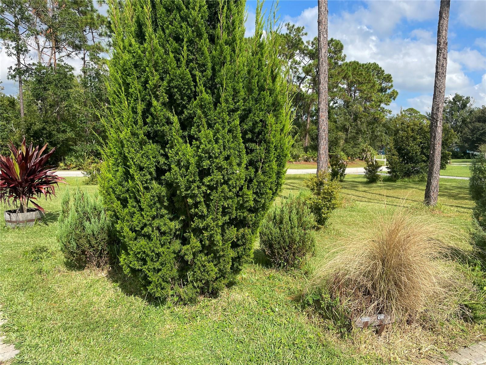 213 Riverbend Rd Property Photo 57