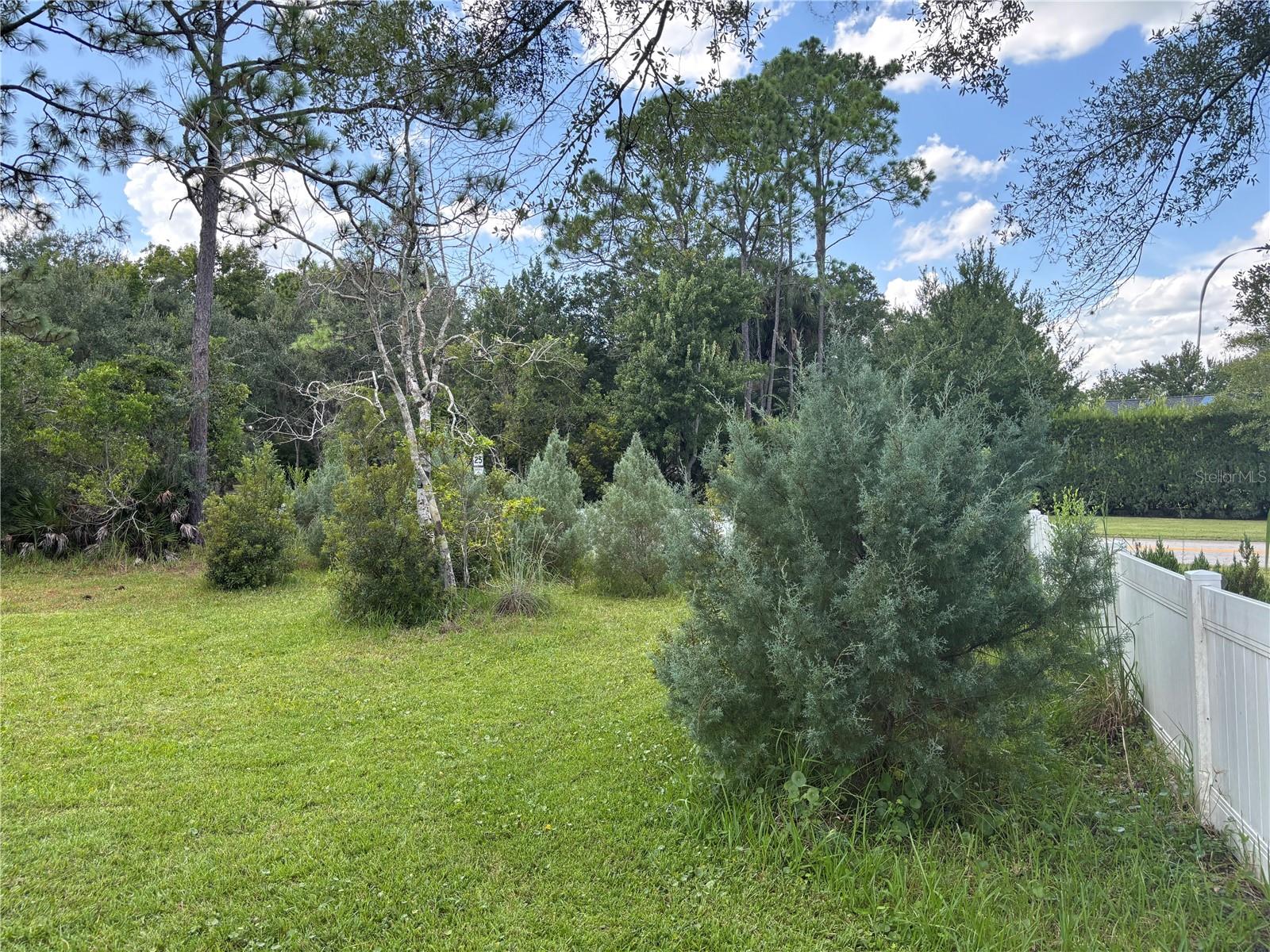 213 Riverbend Rd Property Photo 82