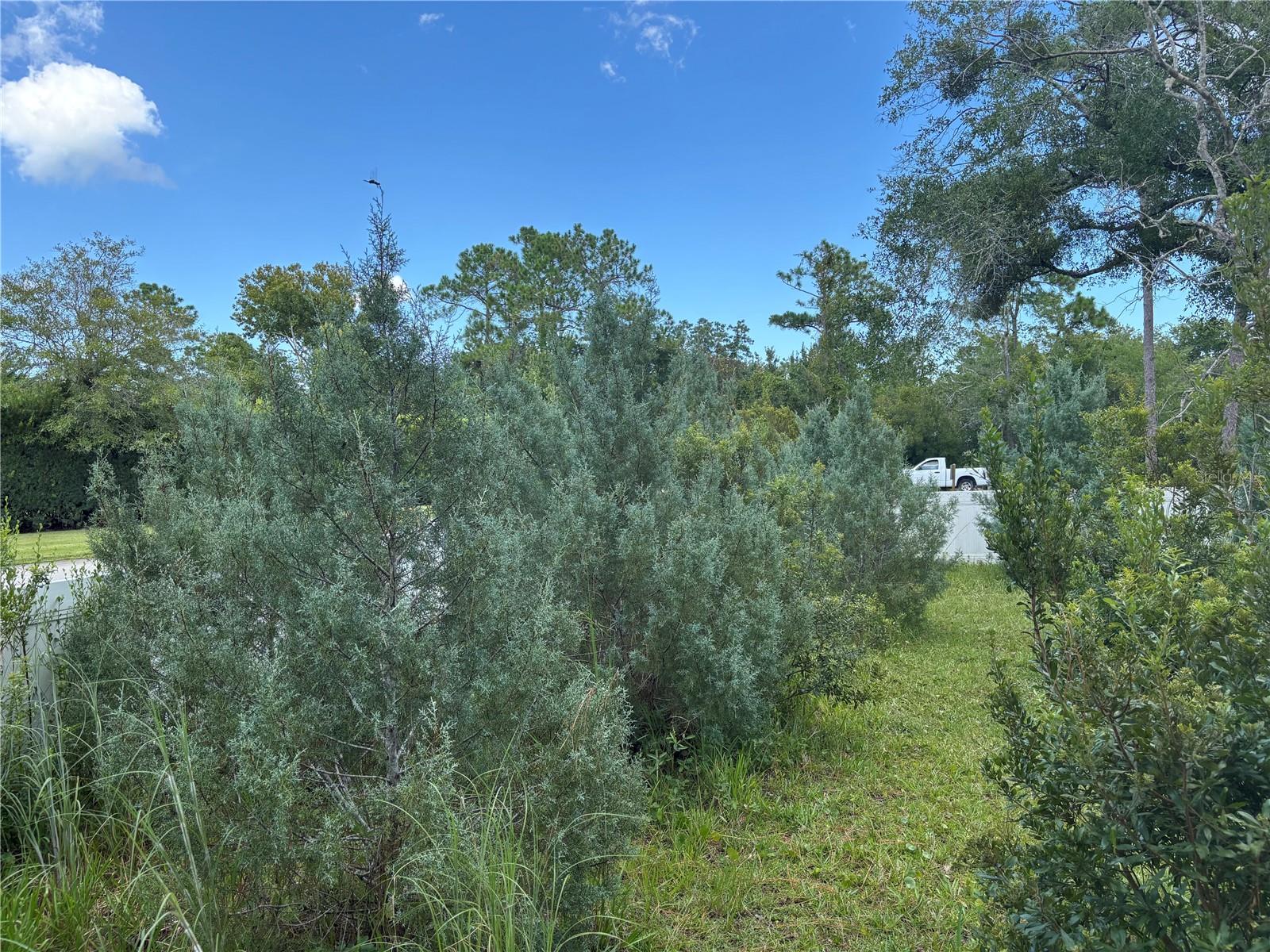 213 Riverbend Rd Property Photo 84