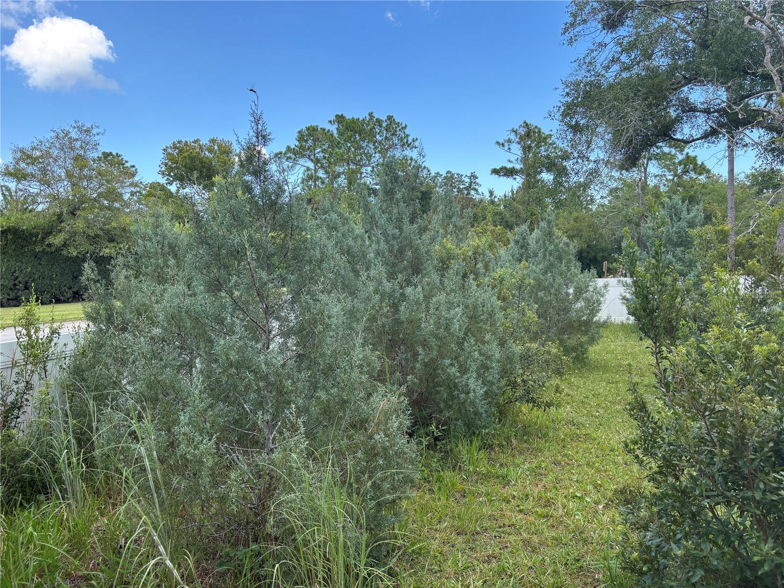 213 Riverbend Rd Property Photo 85