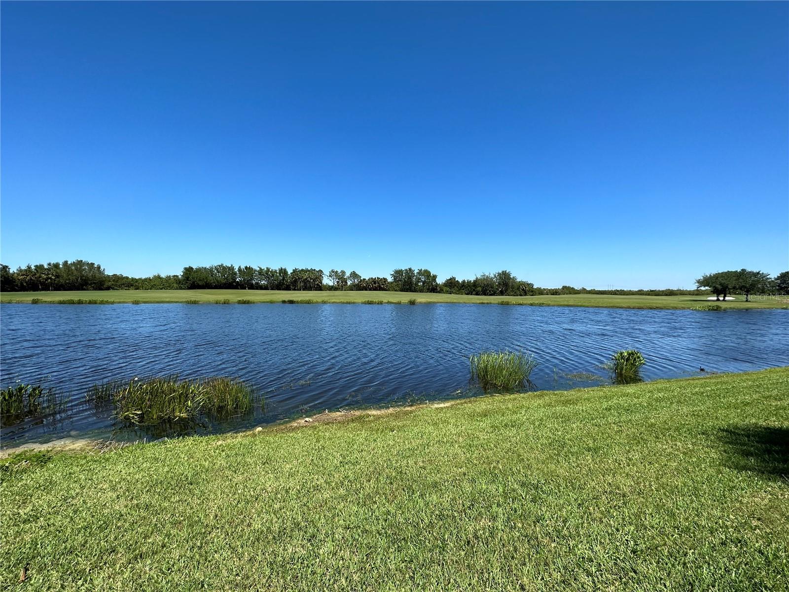 7121 River Hammock Dr #107 Property Photo 14