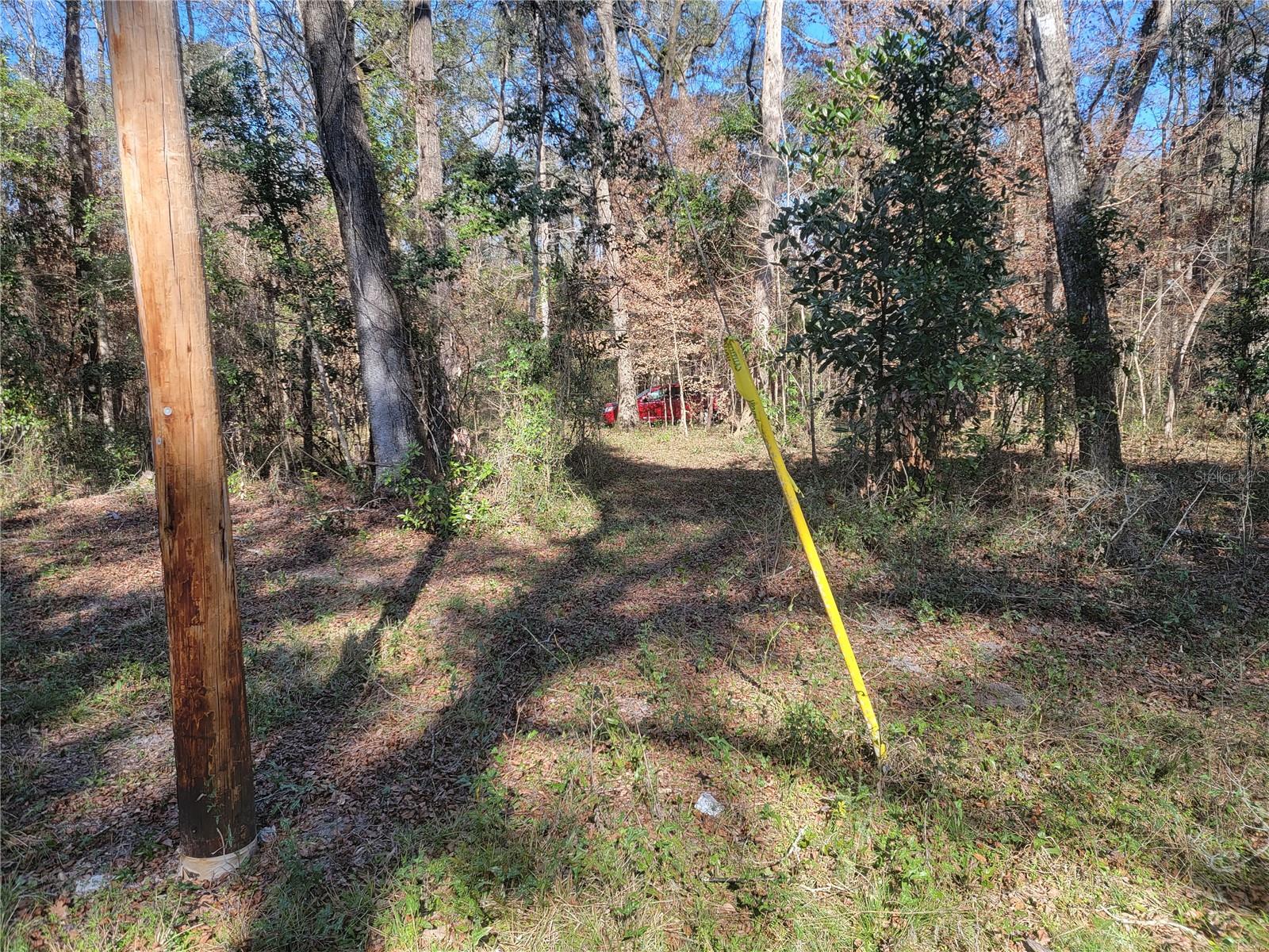 Sw Newark Dr Property Photo 6