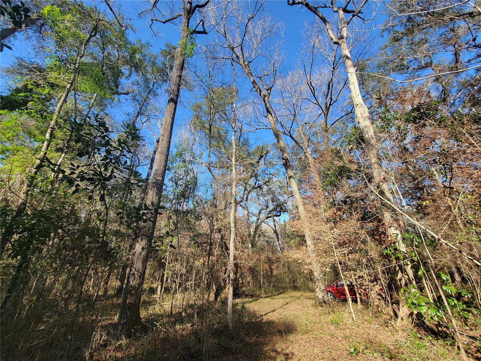 Sw Newark Dr Property Photo 10
