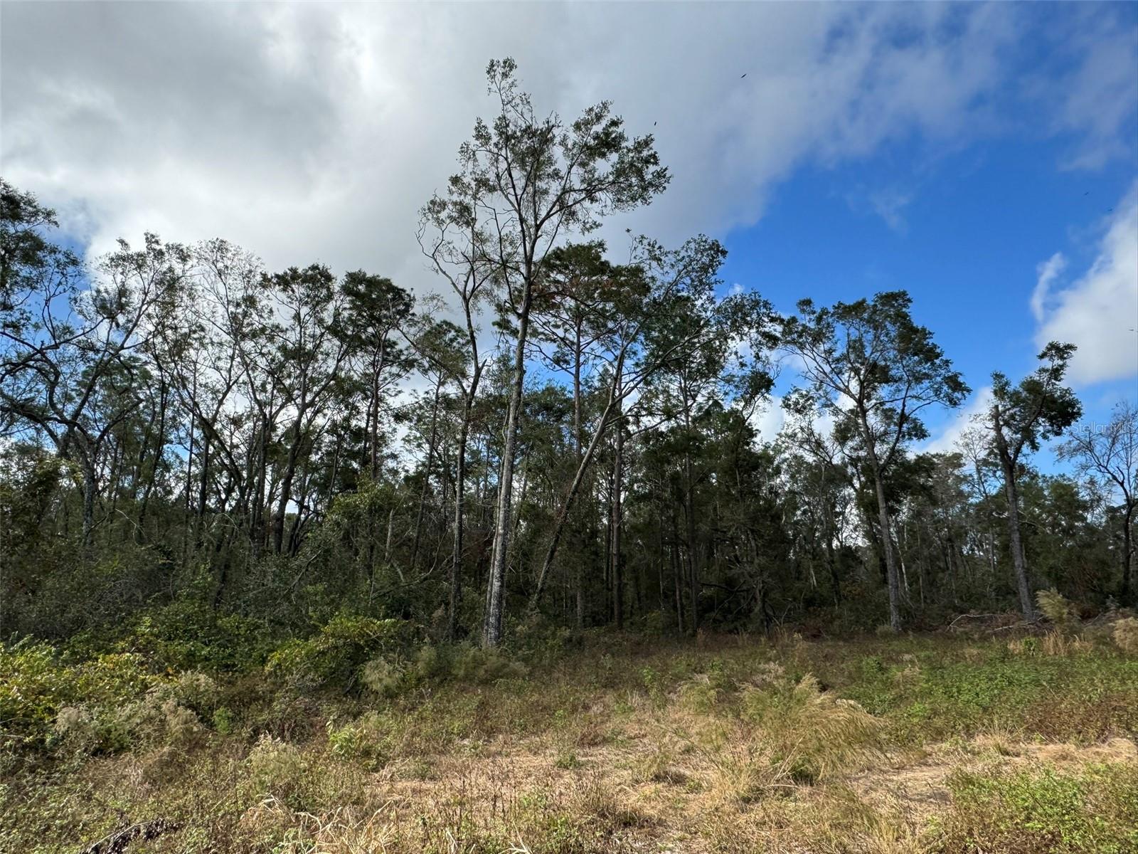 143rd Dr Property Photo 2
