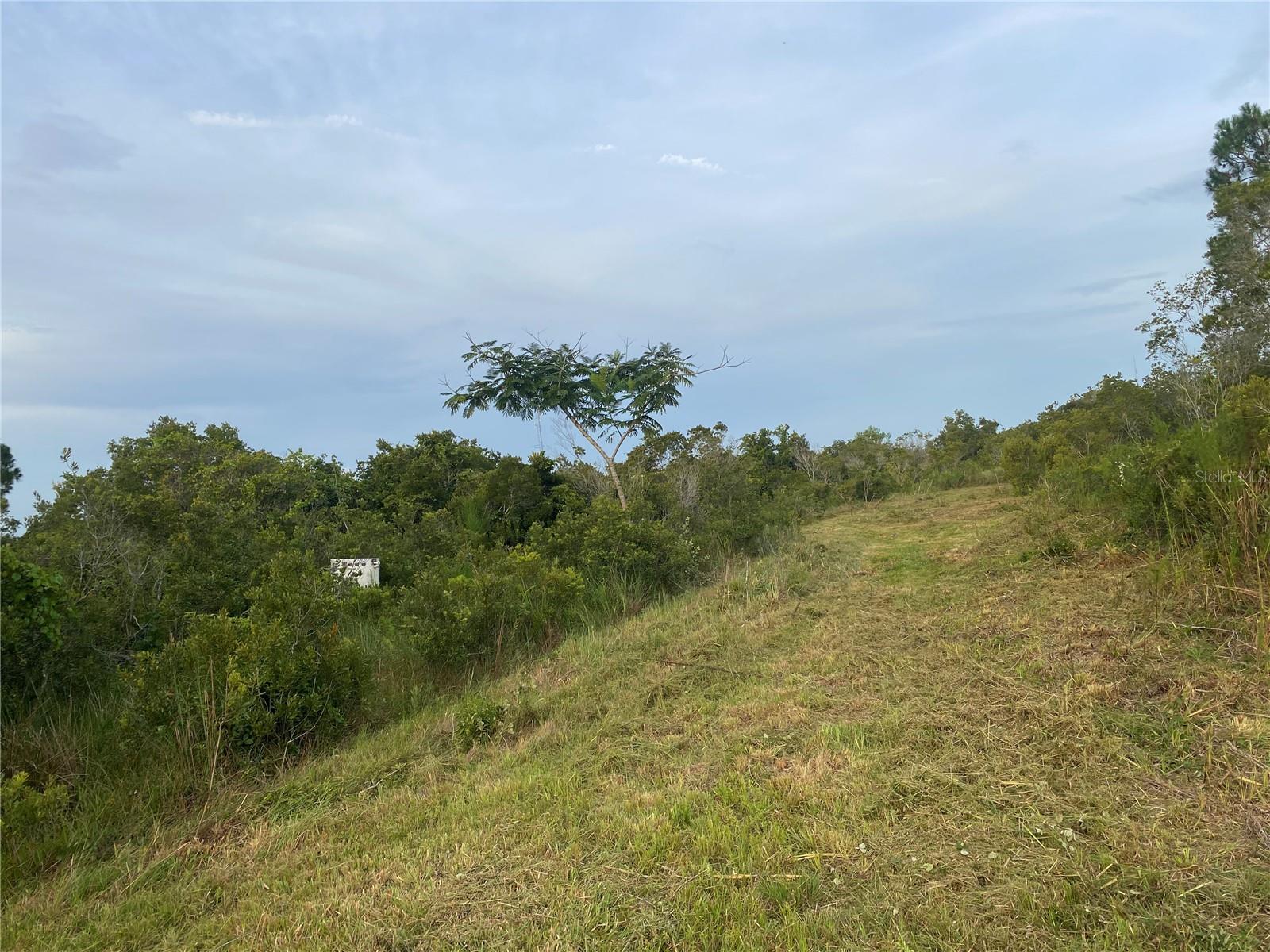 45811 Mcleod Rd Property Photo 4