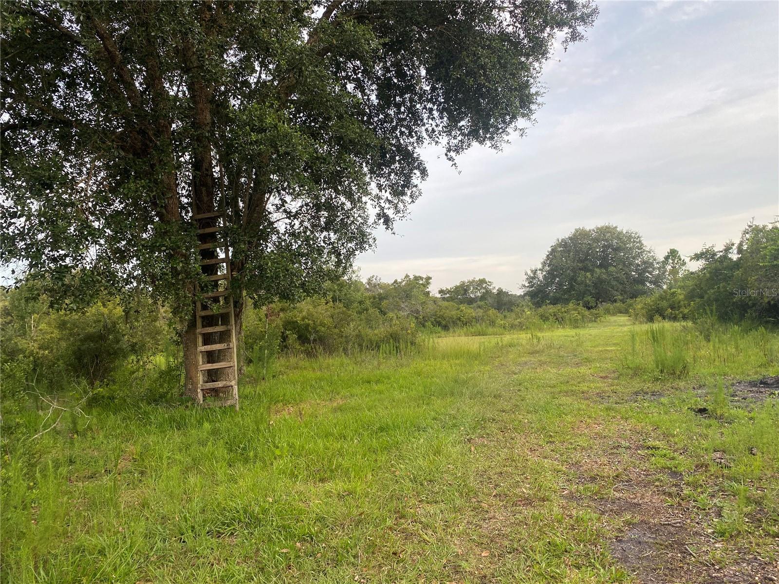 45811 Mcleod Rd Property Photo 7