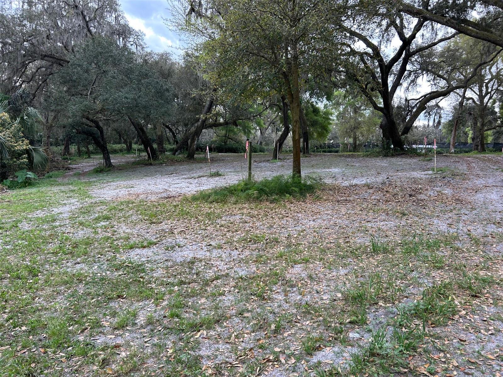 Chameleon Rd Property Photo