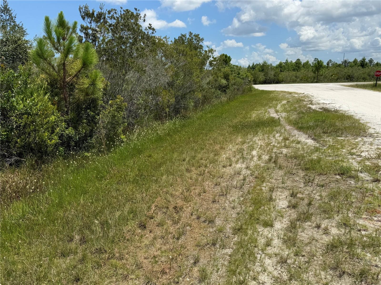 SARASOTA DR Property Photo 1