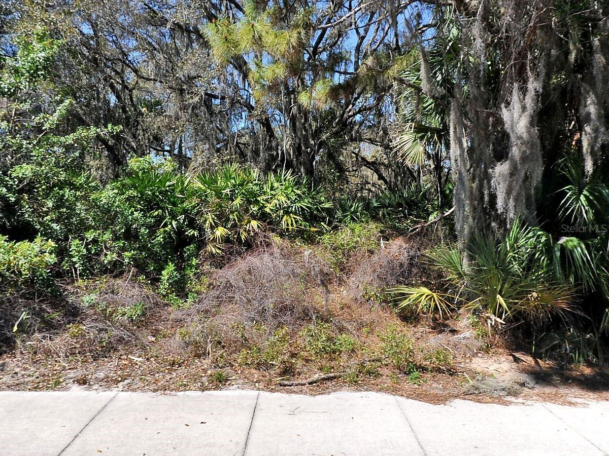 Channing Ave Property Photo 1