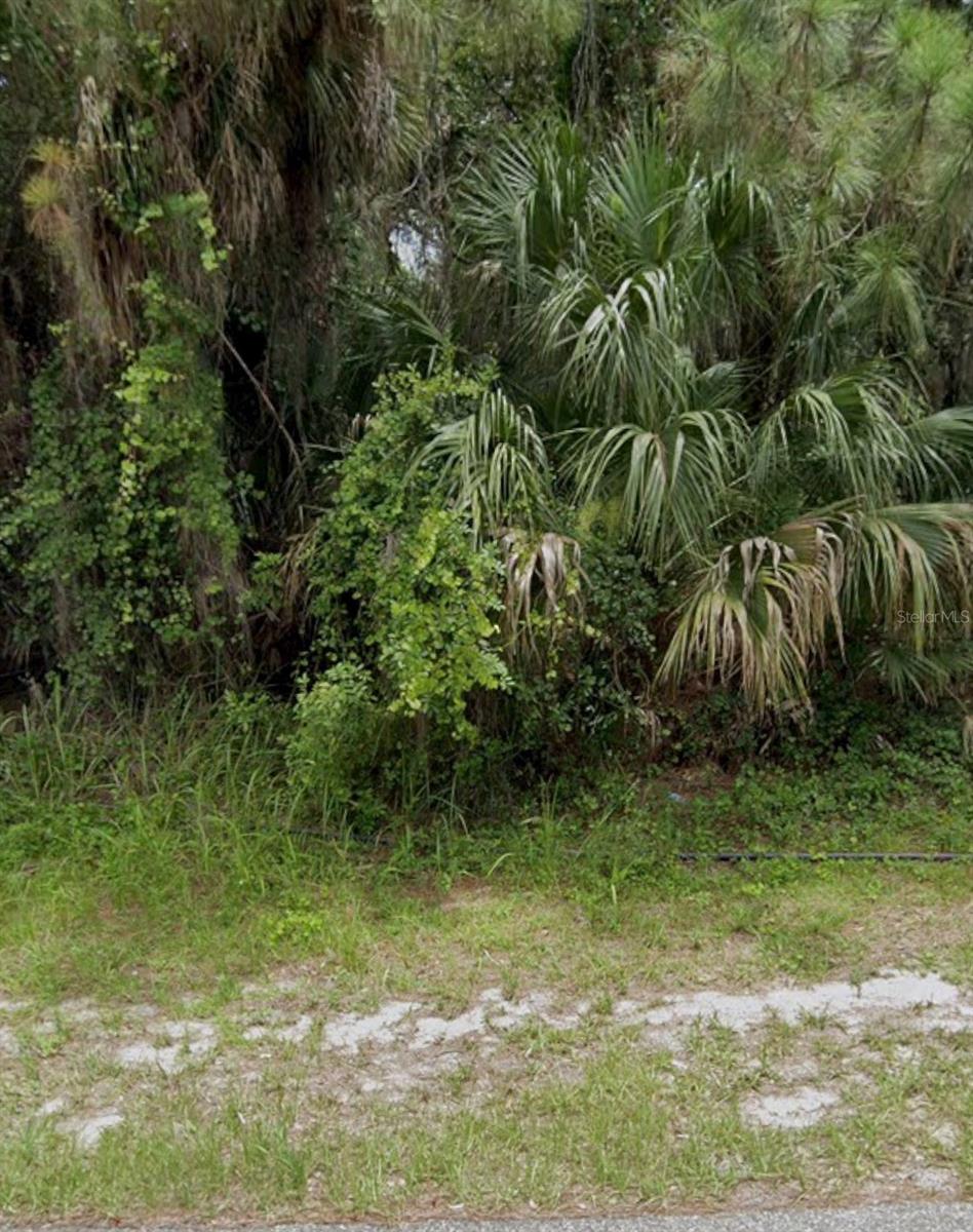 Channing Ave Property Photo 1