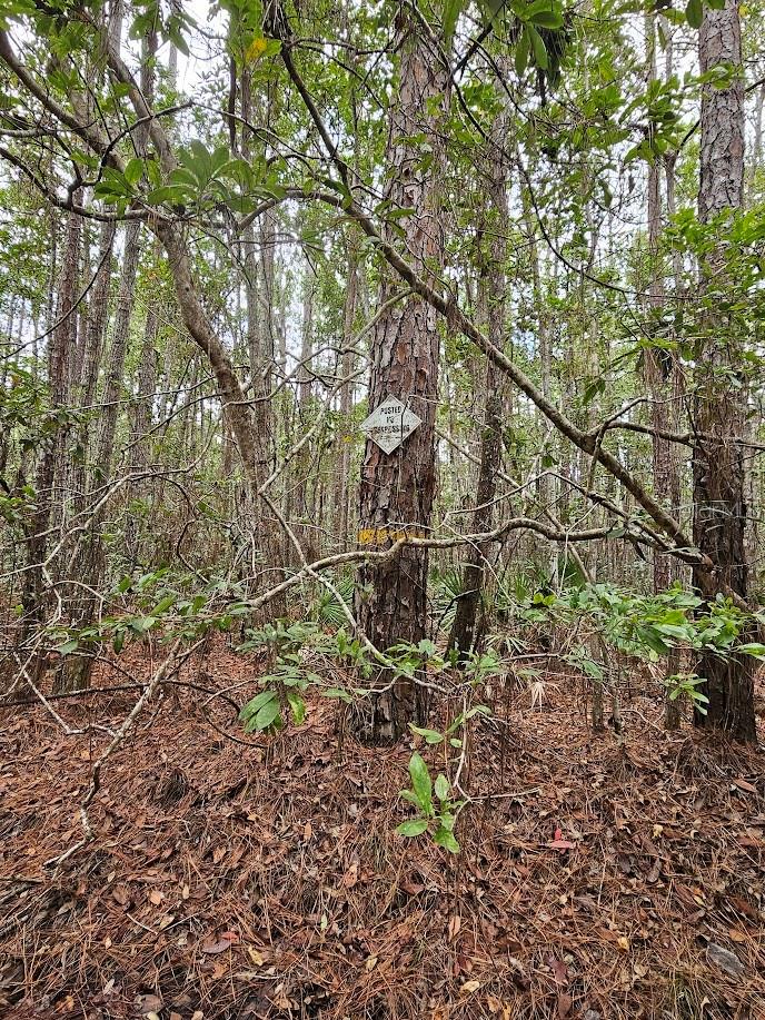 804 Shell Harbor Rd Property Photo 17