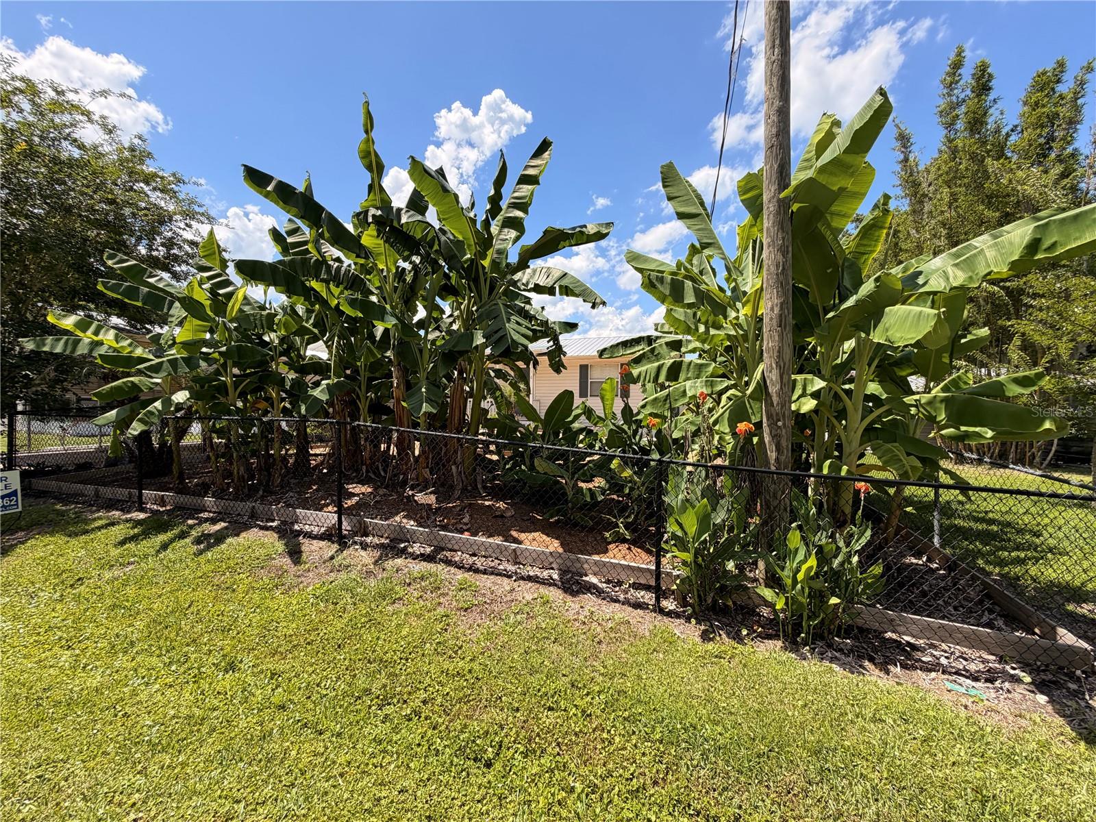 24521 Alligator Rd Property Photo 40