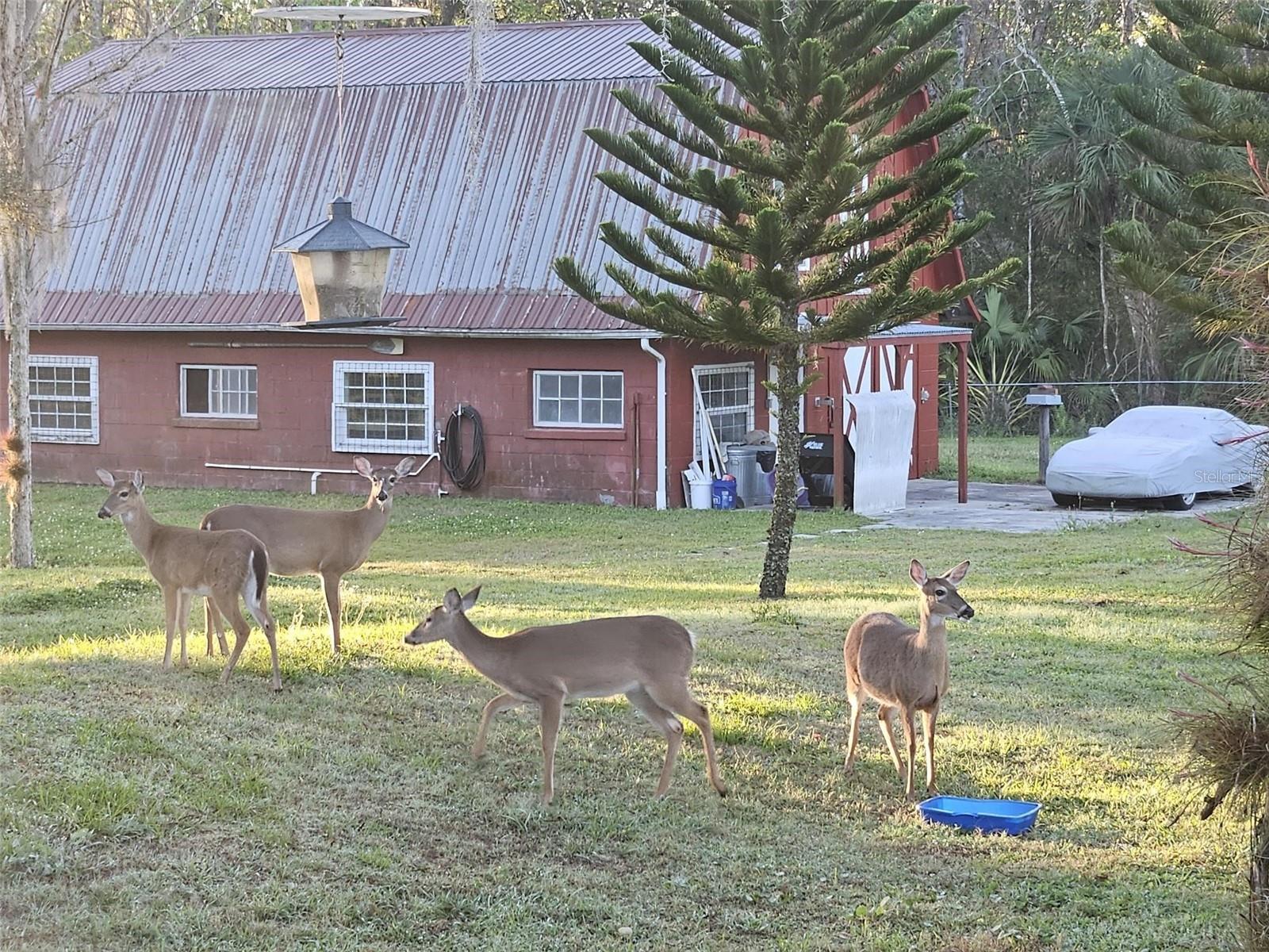 R4910519 Property Photo 28