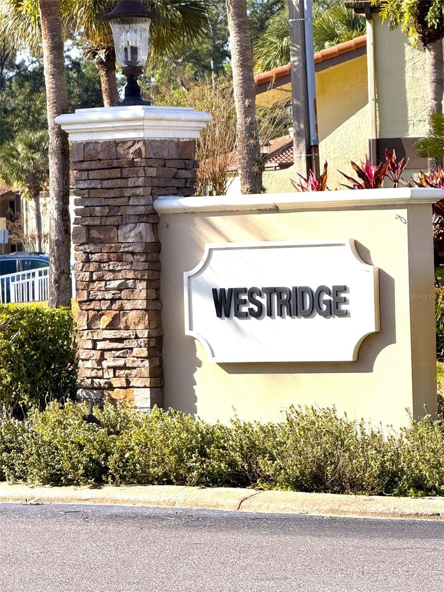 3244 Candle Ridge Dr #202 Property Photo 15