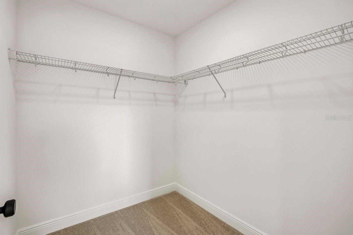 17817 Broadleaf Loop Property Photo 15