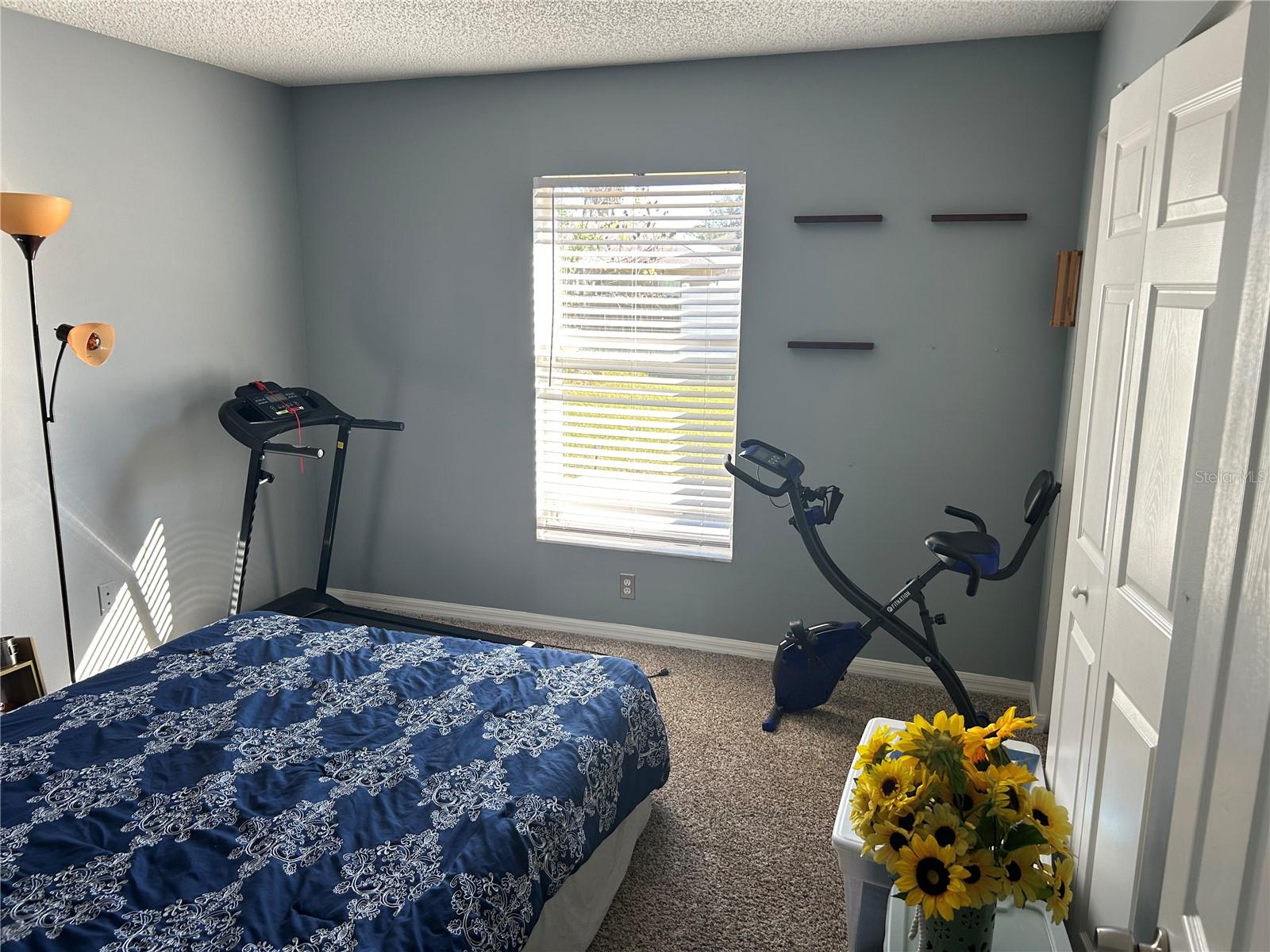 4 Lysander Ln Property Photo 8