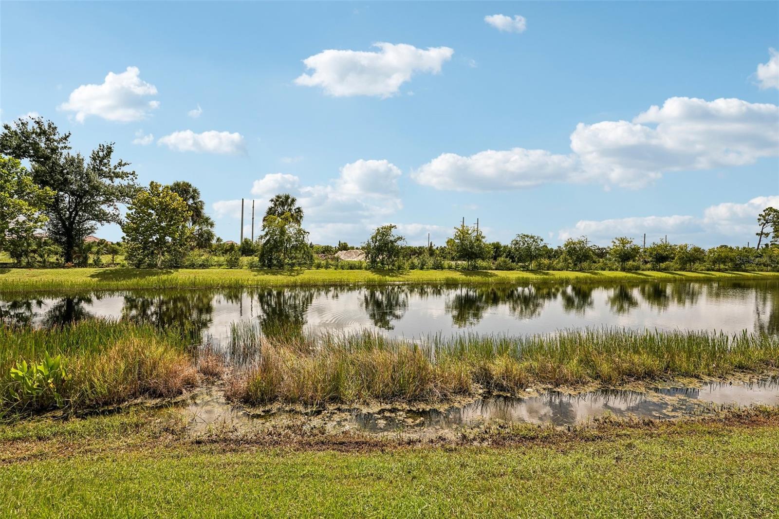 136 Vistera Blvd Property Photo 3