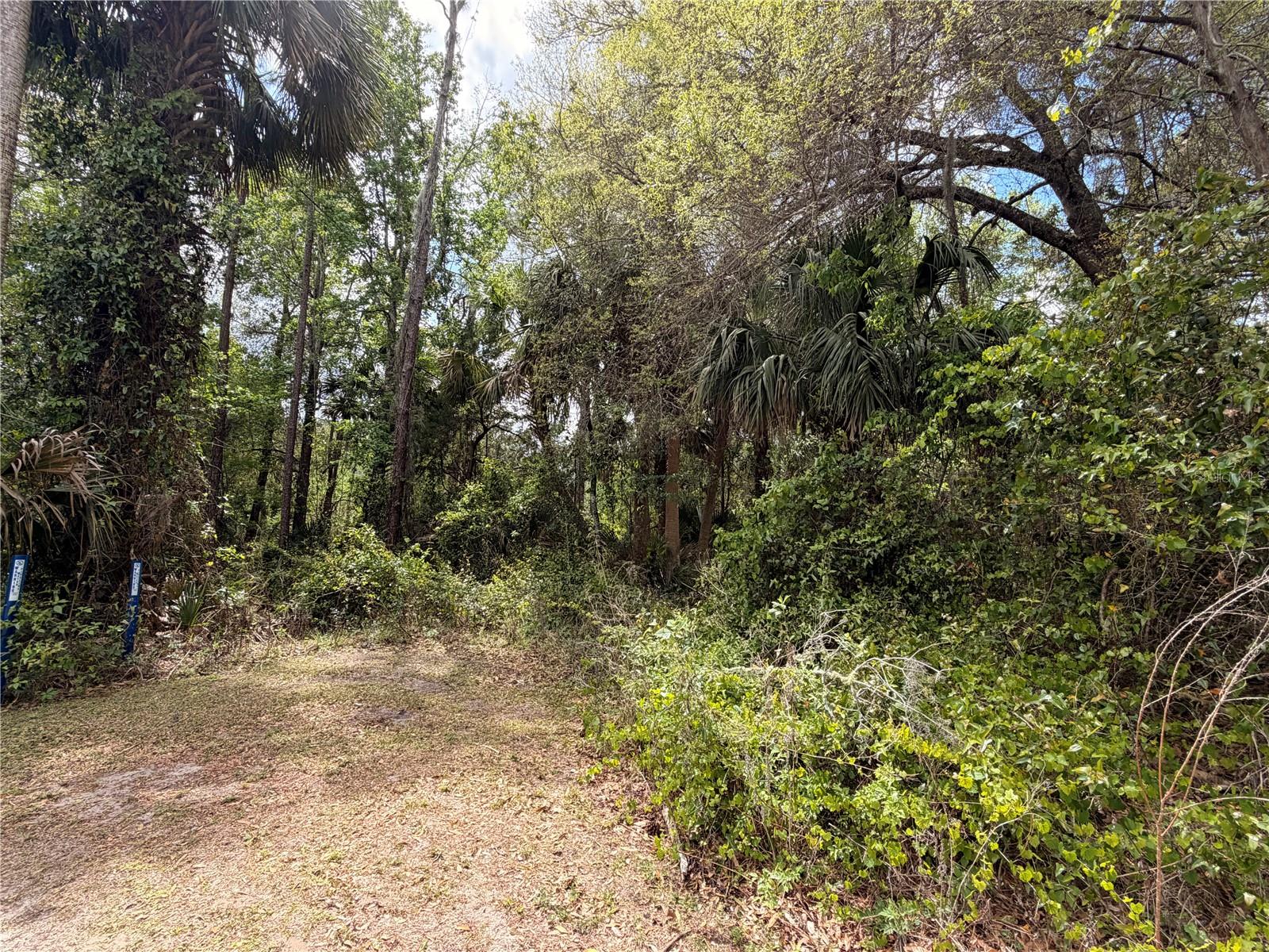 County Road 445a Property Photo 2