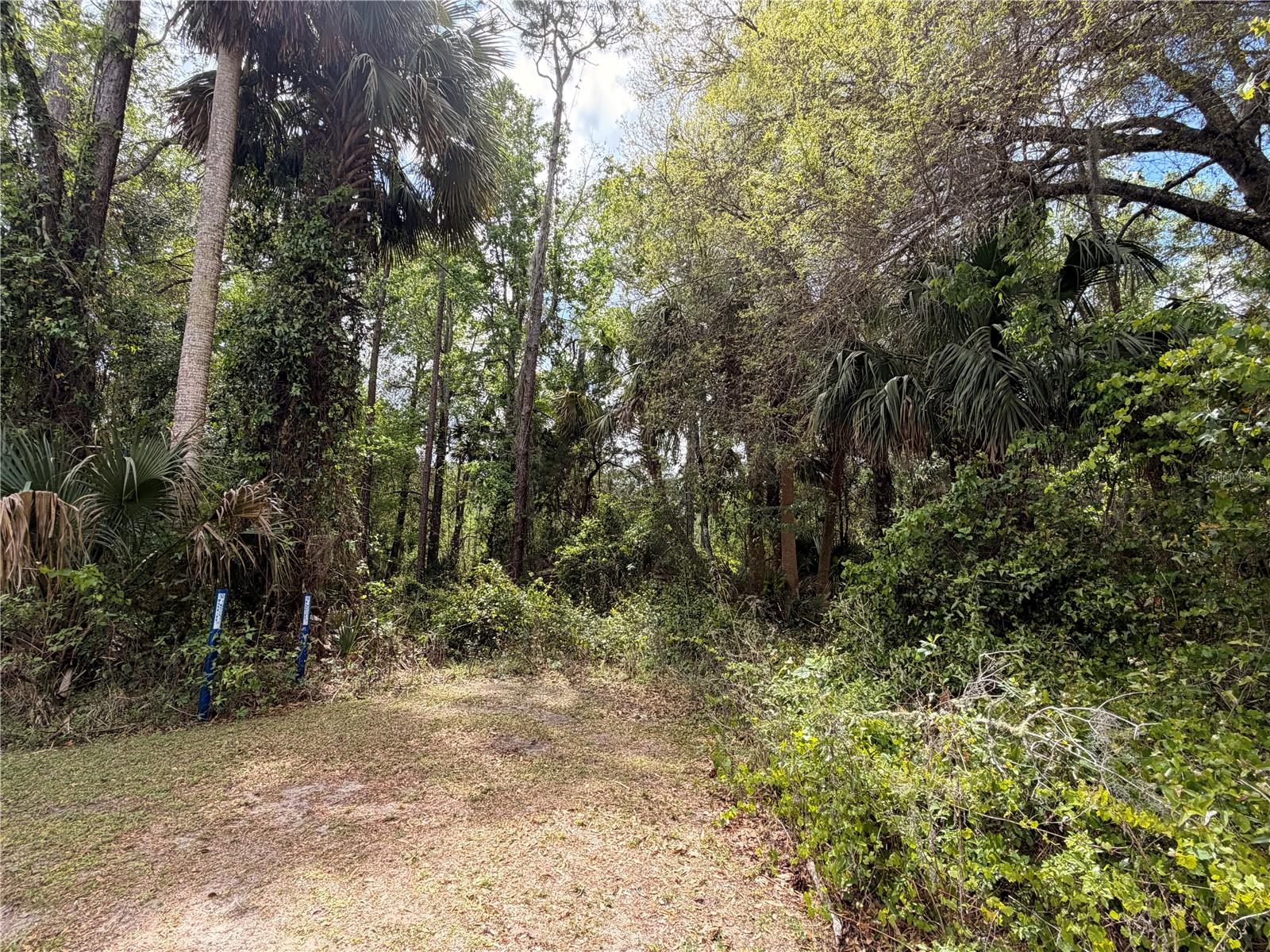 County Road 445a Property Photo 3