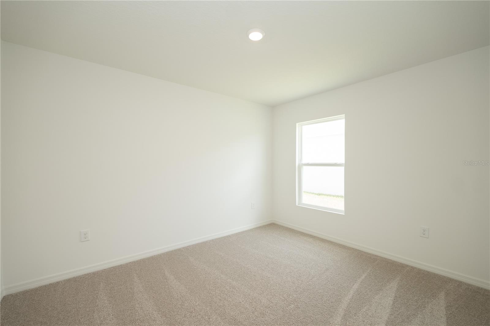 3432 Blueberry Trl Property Photo 28