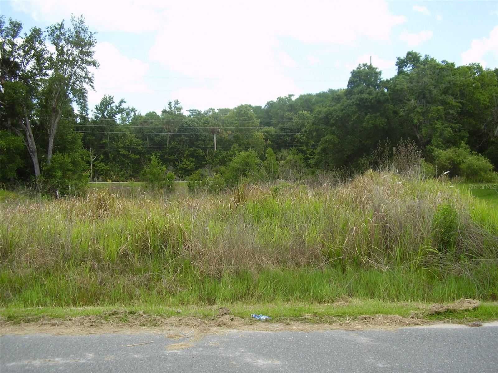 1409 Teal Dr Property Photo 3