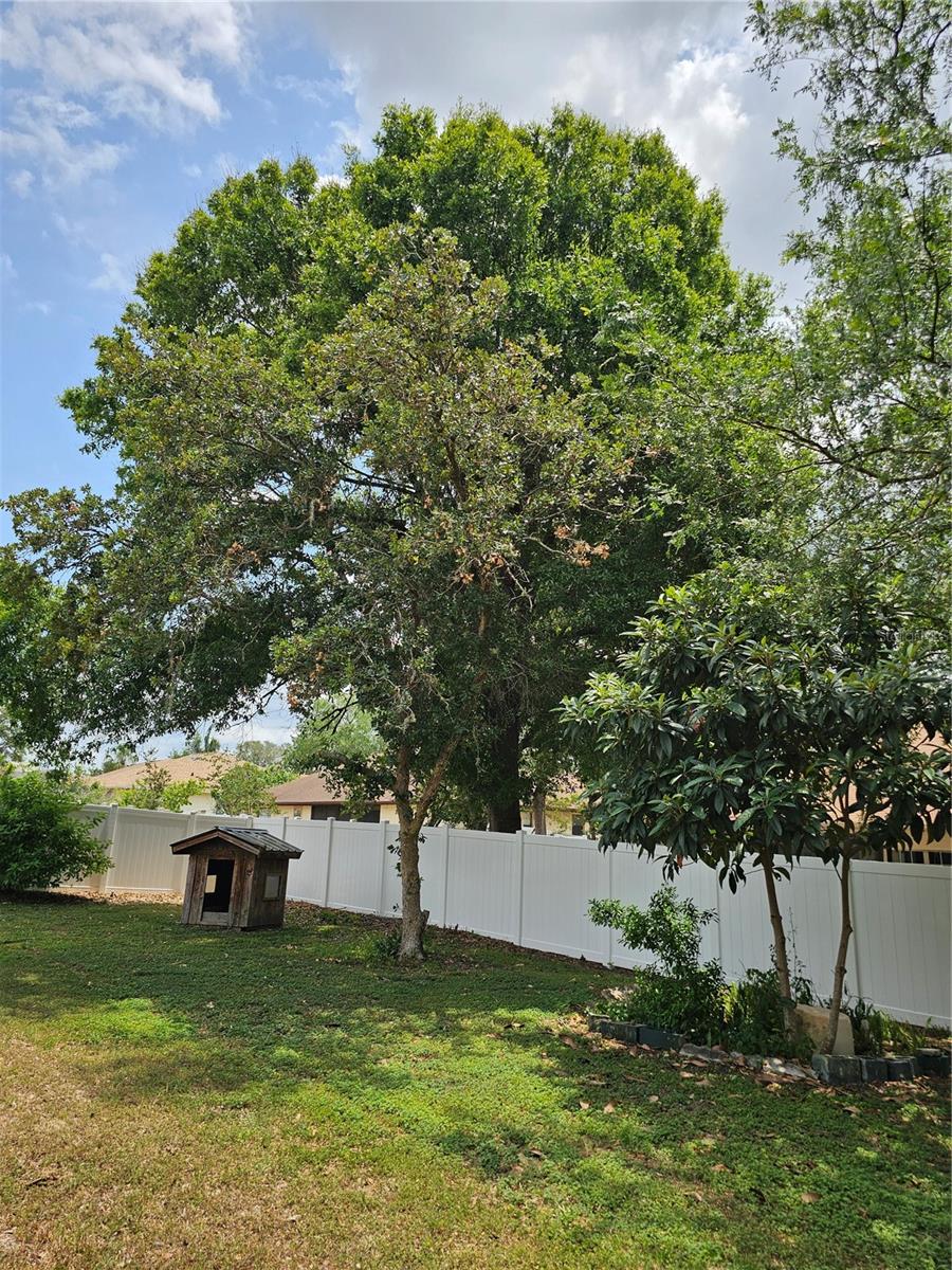 5280 Sw 88th Pl Property Photo 53