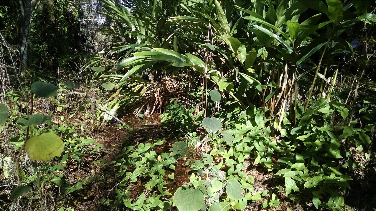 8 Santiago Rd Property Photo 1