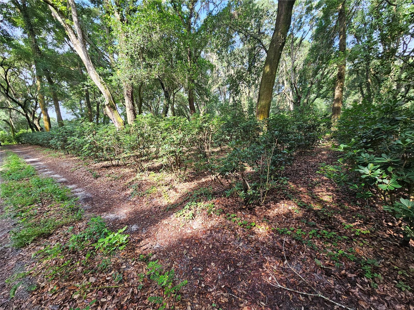 610 Burnsed Rd Property Photo 11
