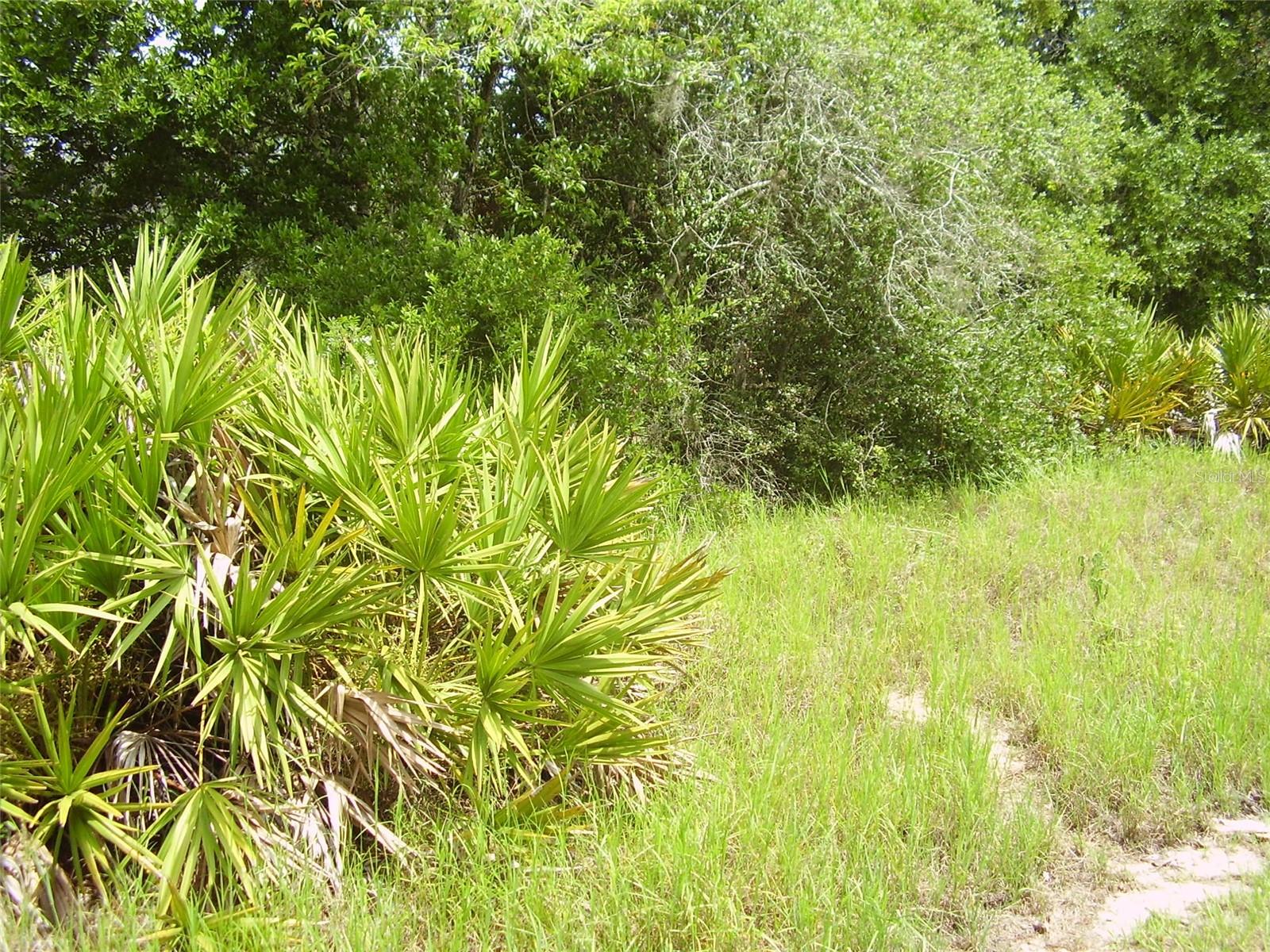 1457 KISSIMMEE WAY Property Photo 1