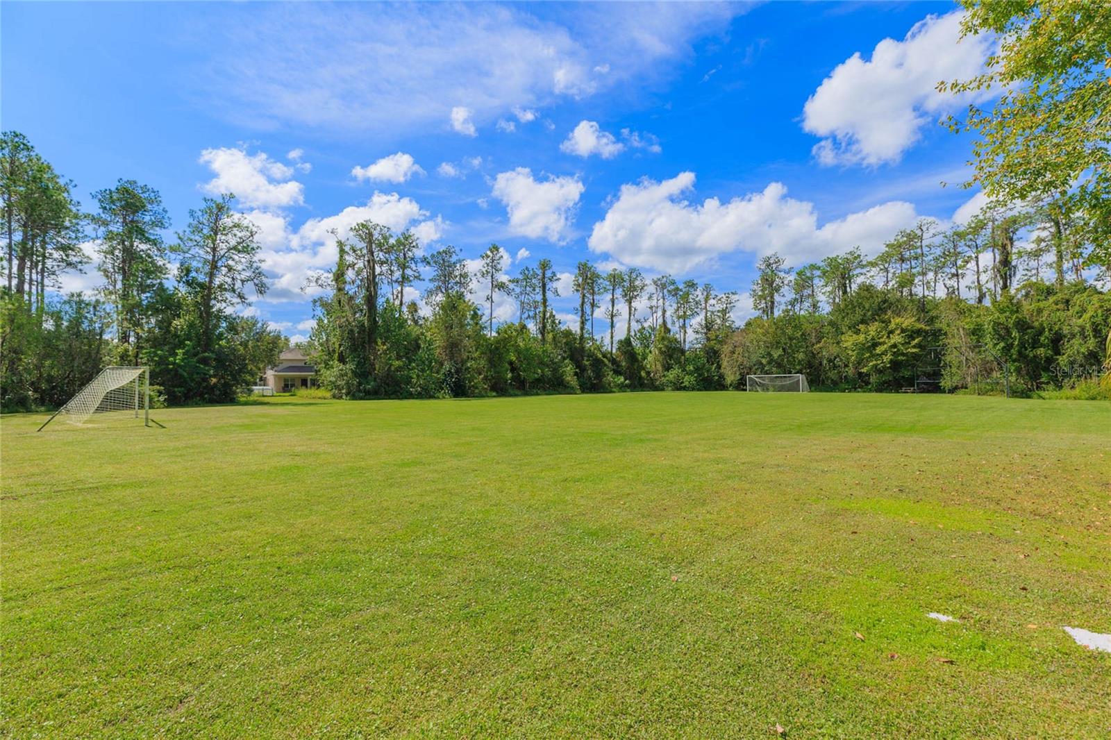 26731 Winged Elm Dr Property Photo 68