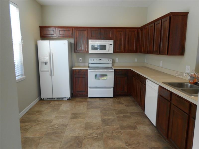 3911 Pemberly Pines Cir Property Photo 3