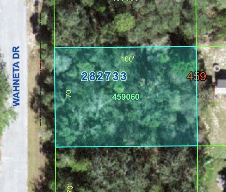 1211 Wahneta Dr Property Photo 1