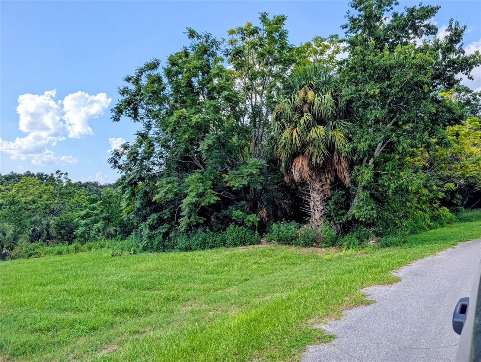 Green Briar Dr Property Photo 1