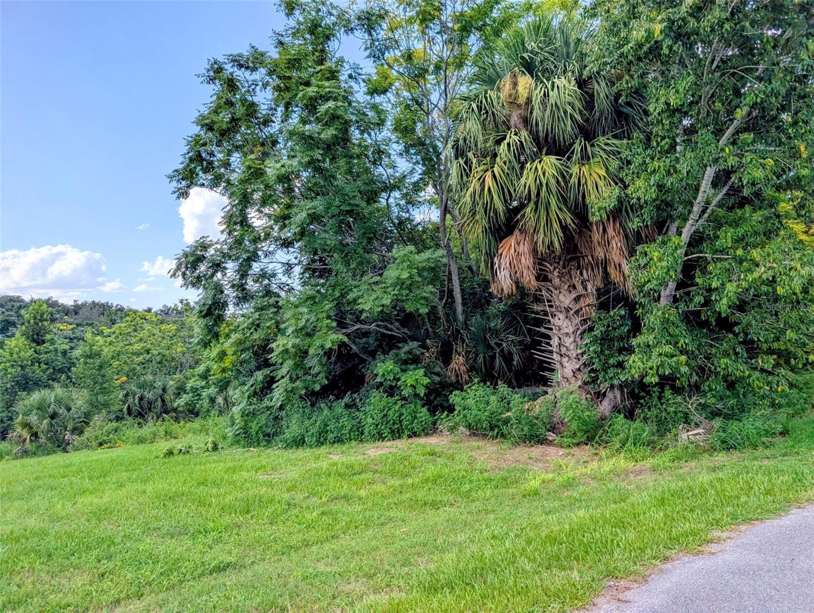 Green Briar Dr Property Photo 2