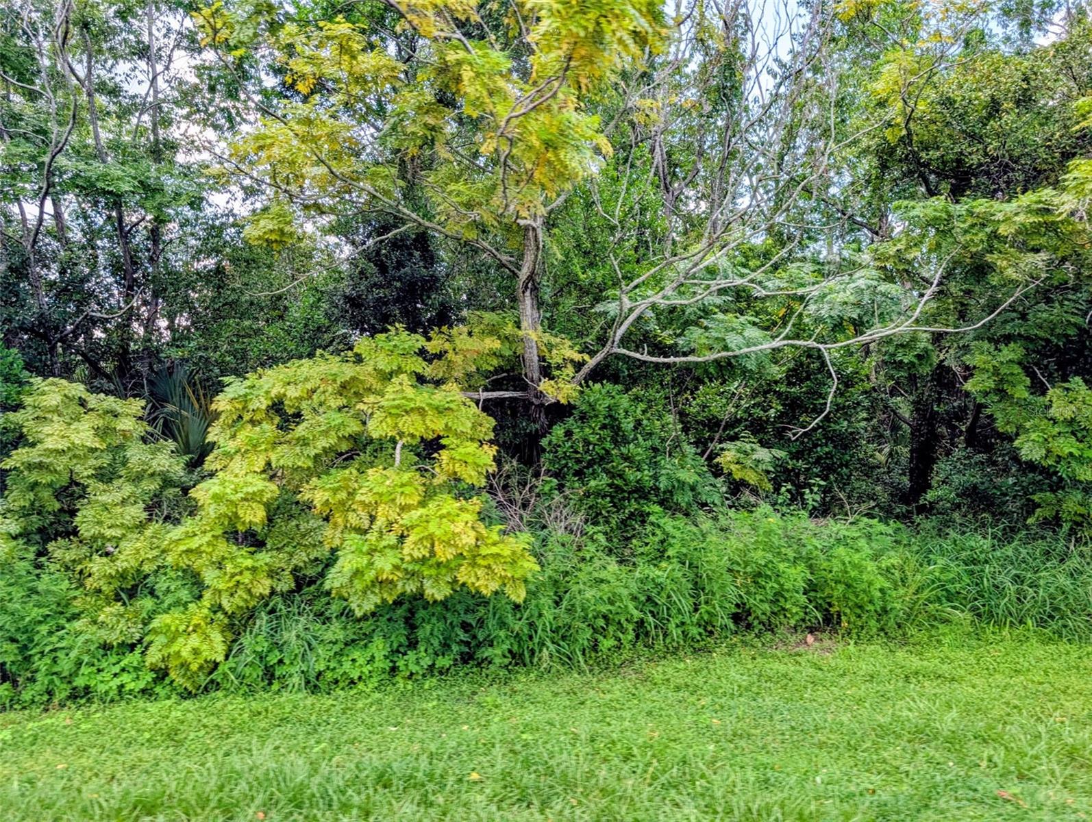 Green Briar Dr Property Photo 3