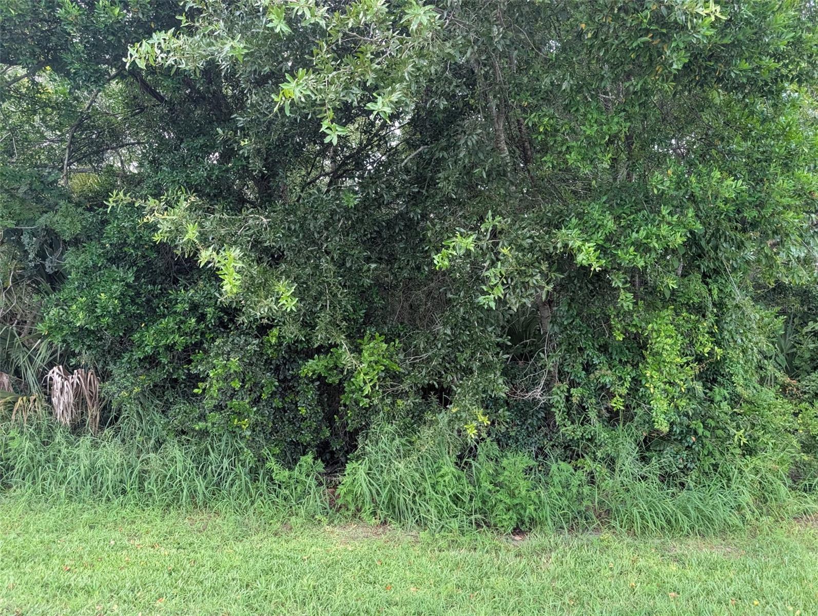 Green Briar Dr Property Photo 8