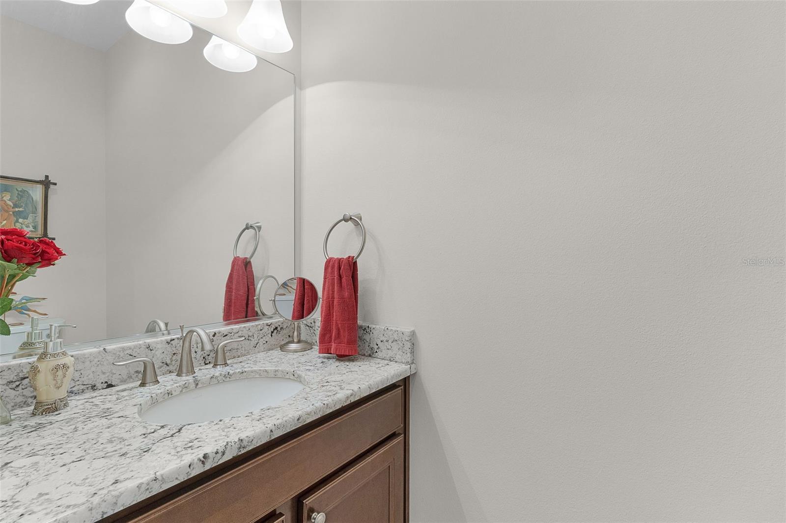 3452 Bosie Run Property Photo 25