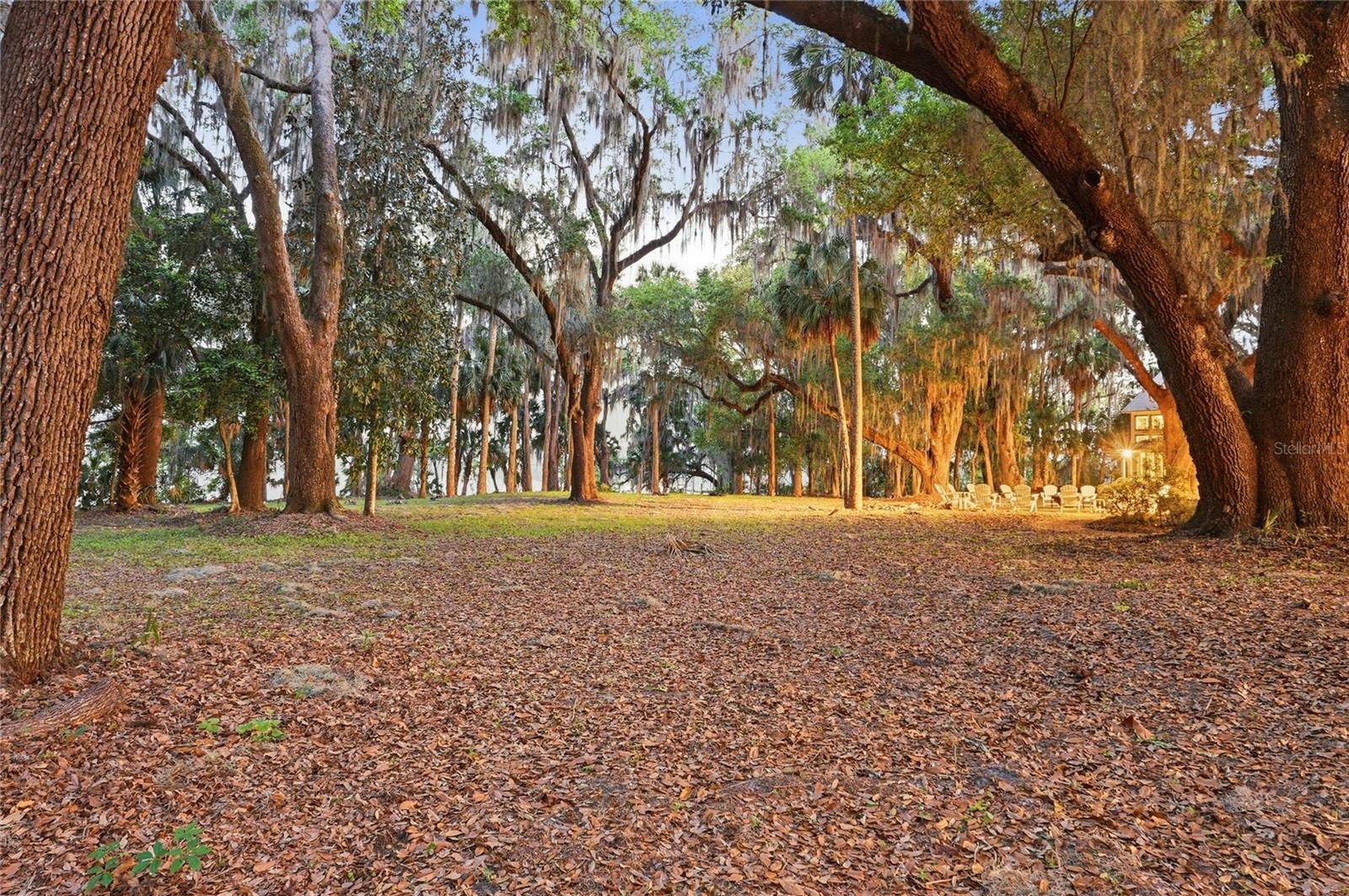 R4911707 Property Photo 64