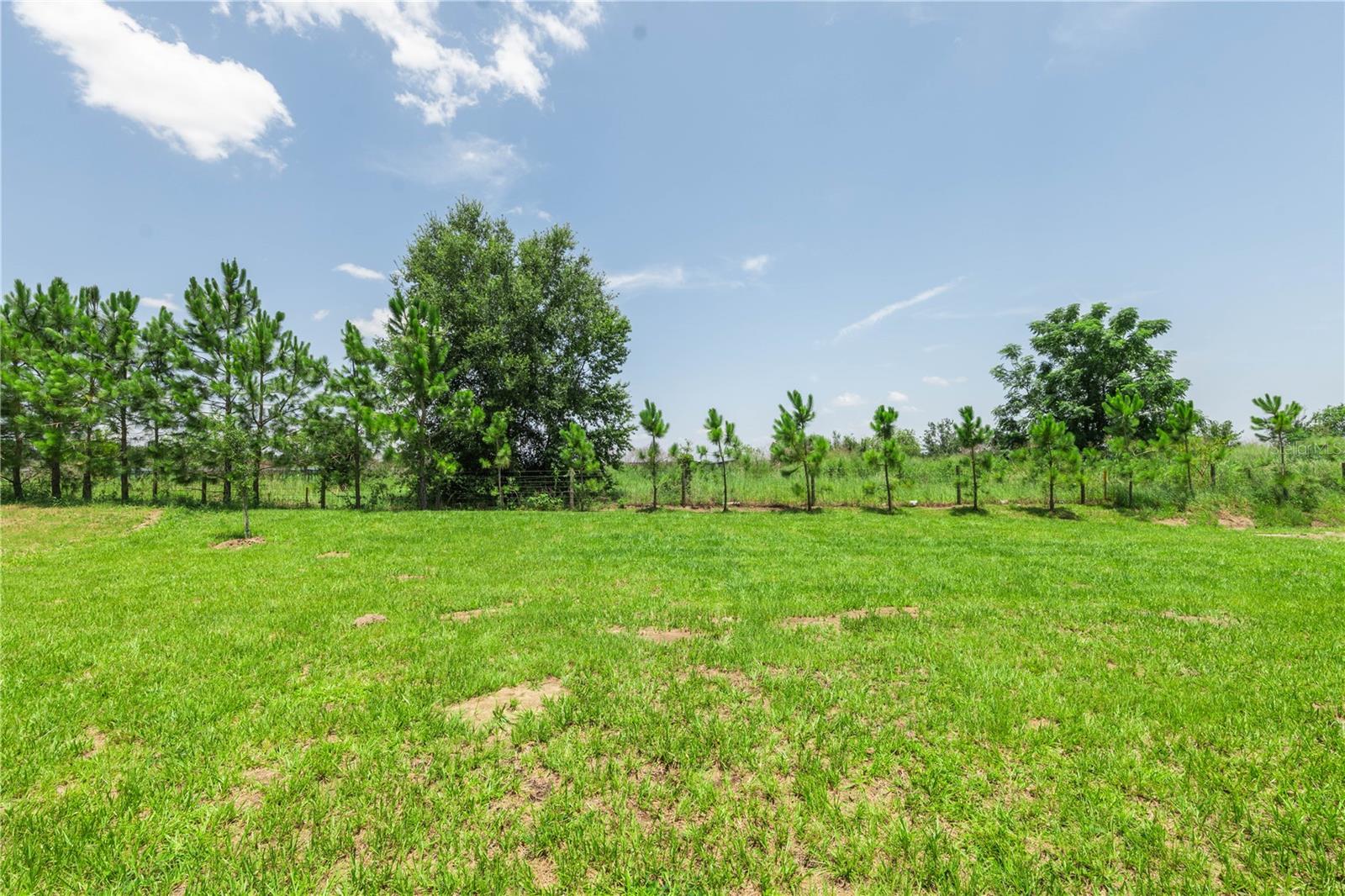 3108 Evelyn Ln Property Photo 29
