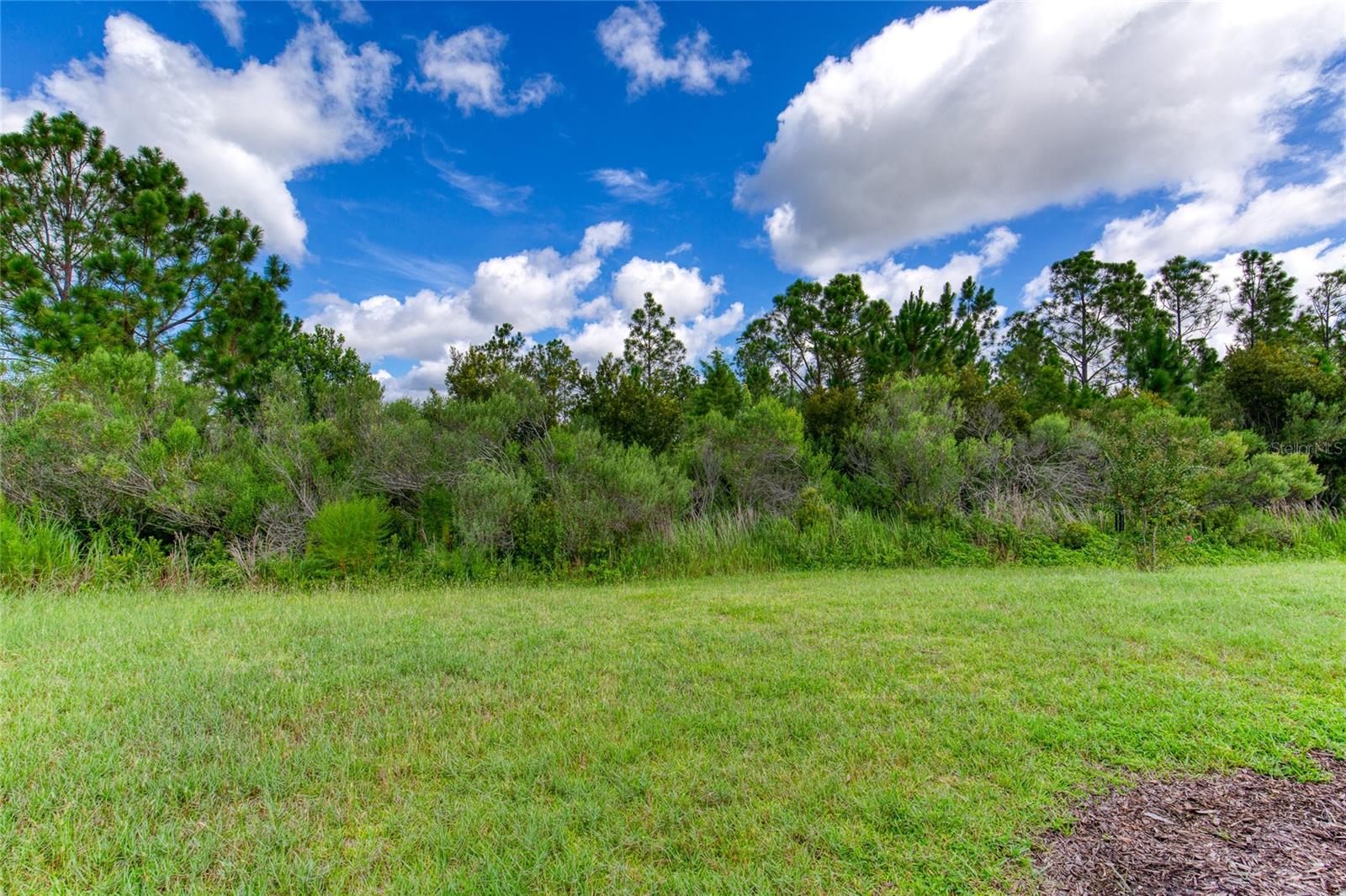 422 Coral Reef Way Property Photo 37