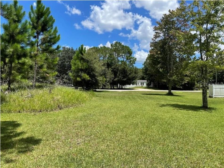 1146 Belvedere Rd Property Photo 12