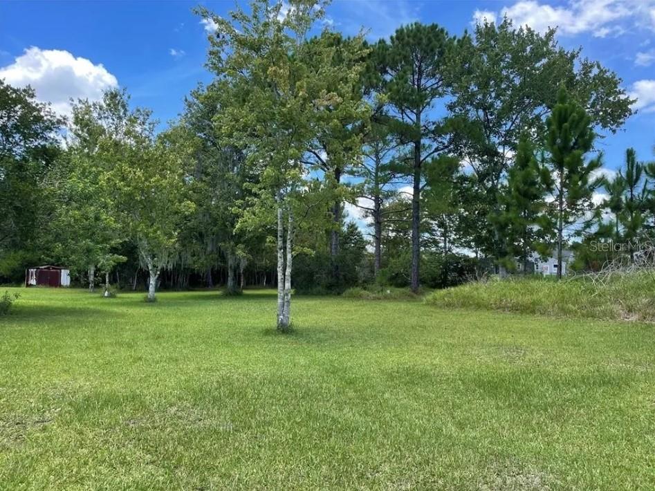 1146 Belvedere Rd Property Photo 13