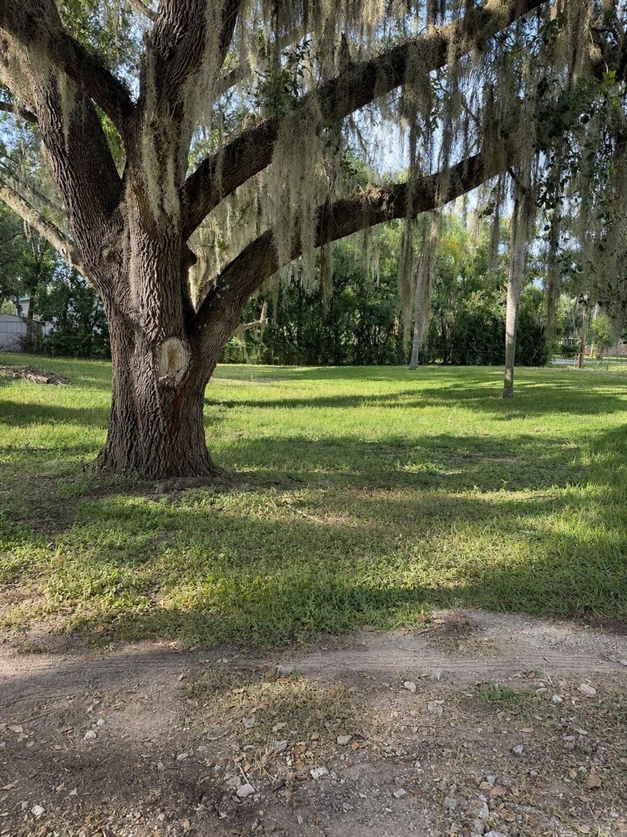 2017 Christy Ln Property Photo 6