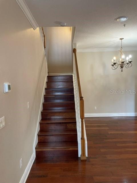 1397 Benevolent St Property Photo 11