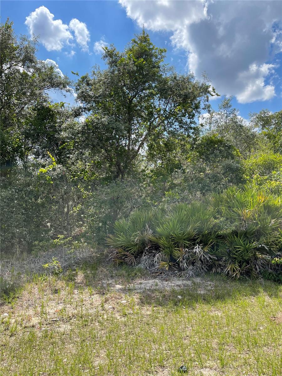 615 Mediterranean Ct Property Photo 1